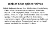 Veido odos tipai 13 puslapis