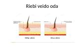 Veido odos tipai 17 puslapis