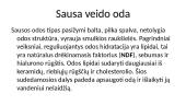 Veido odos tipai 18 puslapis