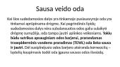 Veido odos tipai 19 puslapis