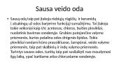 Veido odos tipai 20 puslapis