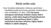 Veido odos tipai 9 puslapis