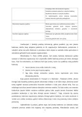 UAB "Arkos statyba" bankrotas ir bankroto procedūros 6 puslapis