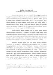 Sandorių ir sutarčių esminiai elementai 4 puslapis