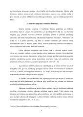 Sandorių ir sutarčių esminiai elementai 6 puslapis