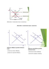 Mikroekonomikos paskaitų teorija 11 puslapis