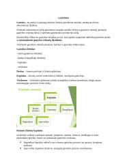 Mikroekonomikos paskaitų teorija 20 puslapis