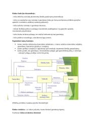 Mikroekonomikos paskaitų teorija 5 puslapis