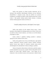 Sterilizacijos metodai vaistų gamyboje 4 puslapis