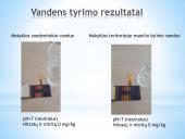 Nitratų ir nitritų kiekis daržovėse 17 puslapis