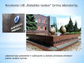 Nitratų ir nitritų kiekis daržovėse 4 puslapis