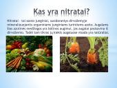 Nitratų ir nitritų kiekis daržovėse 5 puslapis