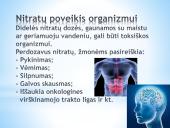 Nitratų ir nitritų kiekis daržovėse 6 puslapis