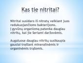 Nitratų ir nitritų kiekis daržovėse 7 puslapis