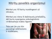 Nitratų ir nitritų kiekis daržovėse 8 puslapis