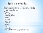 Nitratų ir nitritų kiekis daržovėse 10 puslapis