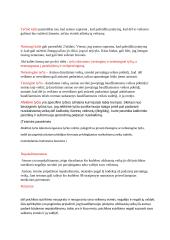 Baudžiamosios teisės paskaitų teorinė medžiaga 3 puslapis