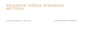 Projekto idėja 13 puslapis