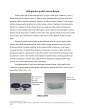 Senoves Romos stiklo dirbiniai: diatretai ir Likurgo taurė  4 puslapis