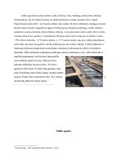 Senoves Romos stiklo dirbiniai: diatretai ir Likurgo taurė  5 puslapis