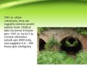 4-tasis fortas 6 puslapis