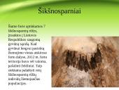 4-tasis fortas 8 puslapis