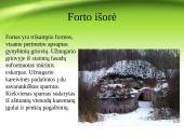 4-tasis fortas 9 puslapis