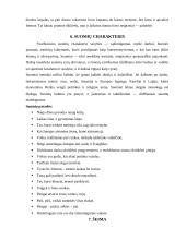 Suomijos kultūros dimensijos ir tarpkultūrinės komunikacijos ypatumai 11 puslapis