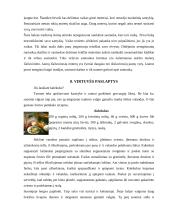 Suomijos kultūros dimensijos ir tarpkultūrinės komunikacijos ypatumai 13 puslapis