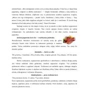 Suomijos kultūros dimensijos ir tarpkultūrinės komunikacijos ypatumai 14 puslapis