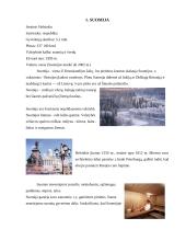 Suomijos kultūros dimensijos ir tarpkultūrinės komunikacijos ypatumai 4 puslapis