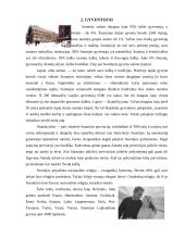 Suomijos kultūros dimensijos ir tarpkultūrinės komunikacijos ypatumai 6 puslapis