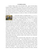 Suomijos kultūros dimensijos ir tarpkultūrinės komunikacijos ypatumai 7 puslapis