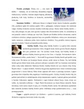 Suomijos kultūros dimensijos ir tarpkultūrinės komunikacijos ypatumai 9 puslapis