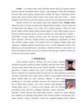 Suomijos kultūros dimensijos ir tarpkultūrinės komunikacijos ypatumai 10 puslapis