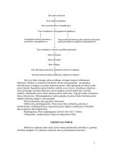 Fermentiniai sūriai 5 puslapis