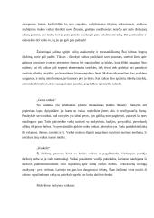 Smurto prieš vaikus prevencijos teorijos ir modeliai 13 puslapis