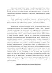 Smurto prieš vaikus prevencijos teorijos ir modeliai 20 puslapis