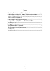 Socialinio pedagogo ir andragogo veiklos apžvalgos aprašas 2 puslapis