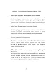 Socialinio pedagogo ir andragogo veiklos apžvalgos aprašas 3 puslapis