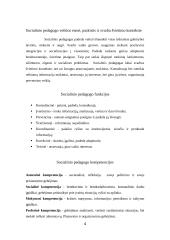 Socialinio pedagogo ir andragogo veiklos apžvalgos aprašas 4 puslapis
