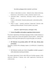 Socialinio pedagogo ir andragogo veiklos apžvalgos aprašas 5 puslapis