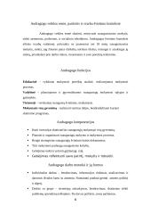 Socialinio pedagogo ir andragogo veiklos apžvalgos aprašas 6 puslapis