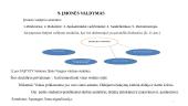 UAB „GTV Solutions“ plėtra  16 puslapis