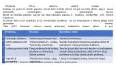 UAB „GTV Solutions“ plėtra  8 puslapis