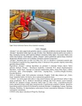 Vamzdinio transporto vystymosi raida, reikiamos savybės ir jų laidavimo būdai 10 puslapis