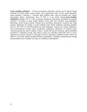 Vamzdinio transporto vystymosi raida, reikiamos savybės ir jų laidavimo būdai 13 puslapis