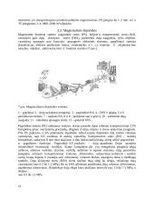 Vamzdinio transporto vystymosi raida, reikiamos savybės ir jų laidavimo būdai 15 puslapis