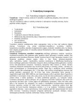 Vamzdinio transporto vystymosi raida, reikiamos savybės ir jų laidavimo būdai 3 puslapis