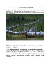 Vamzdinio transporto vystymosi raida, reikiamos savybės ir jų laidavimo būdai 6 puslapis